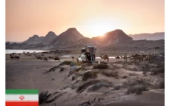 Gordigear Dachzelt Plus Für 4 Personen Mit Staufläche 180 X 320 Cm Grün -Campingzelte Verkäufe 585635 3986339